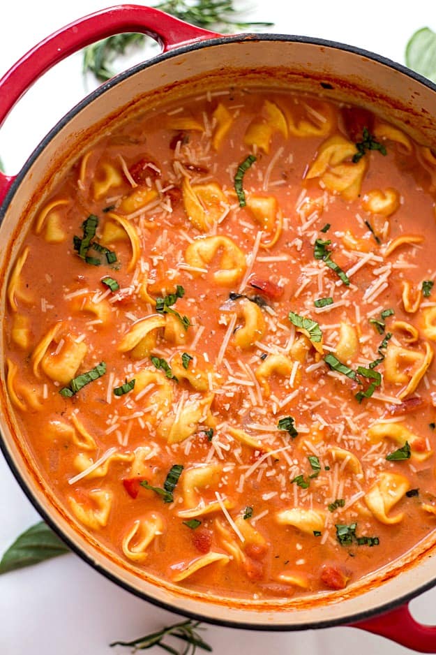 Easy One-Pot Creamy Tomato Tortellini Soup Recipe